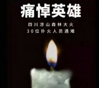 陽光甚好，是有人為我們擋住了黑暗...